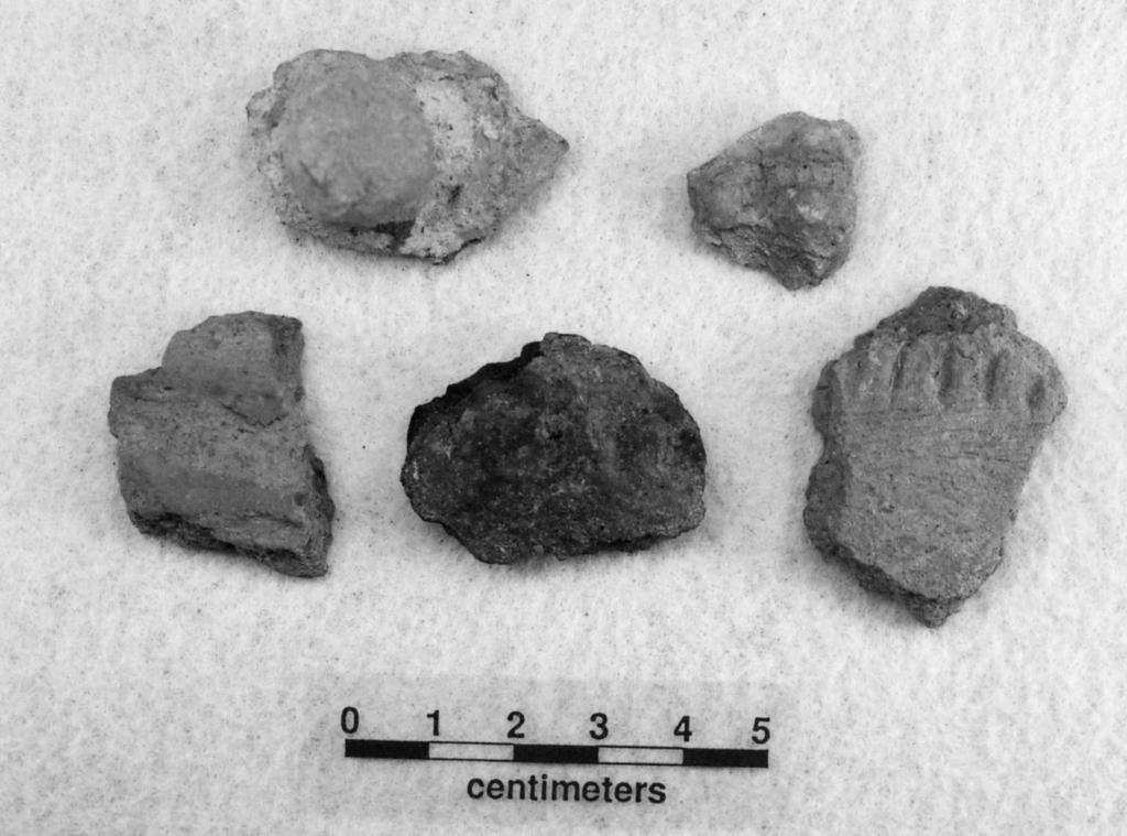 Perttula Ceramic Vessel Sherds from the Kah-Hah-Ko-Wha Site (41CE354) 71 a b c d e Figure 7.