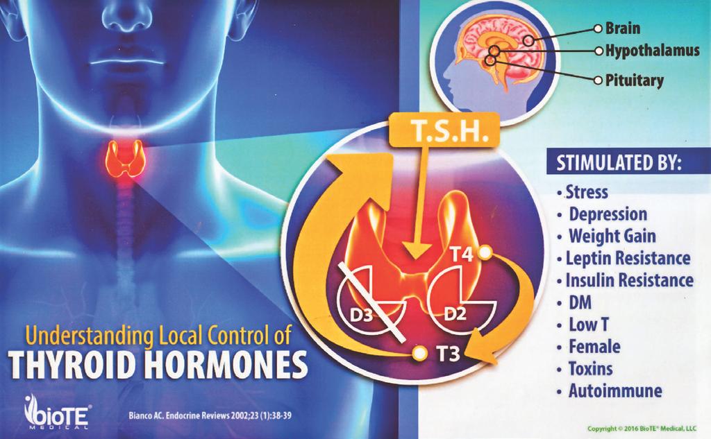 ANTI-AGING Chapter 7 Thyroid Hormones TREATING THE SILENT SCOURGE OF THYROID DISEASE There are over 200 symptoms related to thyroid disease. They are insidious, elusive and great masqueraders.