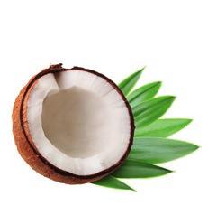 Coconut Oil moisturises the