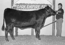 In 1990, while traveling to the Lake of the Ozarks in central Missouri, they stopped in at the Sydenstricker Angus Farm Fall Sale and purchased their very first registered Angus cattle for what was