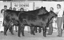 In 1993 the Missouri Angus State Field Day was held at Circle A with a tremendous crowd and bubbling over enthusiasm. As the herd began to grow, Mark Akin and his family joined the Circle A team.