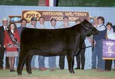 In the 1994 Circle A Sale, nine progressive Angus breeders selected Circle A Exclusive 3186 making him the top selling bull of the 1994 Circle A Sale and one of the most widely sampled young sires in