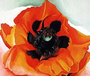 Opium poppy seeds are used to