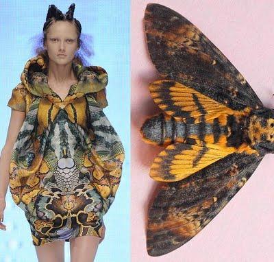 Alexander McQueen: moths 22 Alexander McQueen was a British fashion designer who was born in 1969 and died in 2010. McQueen has been inspired by many different things.