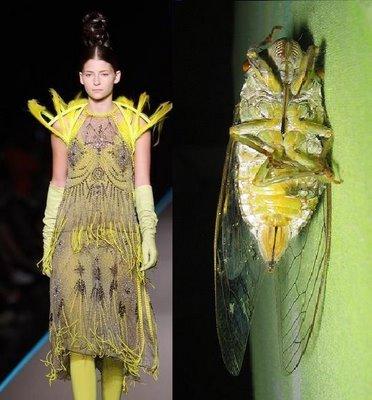 Jean-Paul Gaultier: cicadas 24 Jean-Paul Gaultier (born 1952) is a French fashion designer who works in Paris.