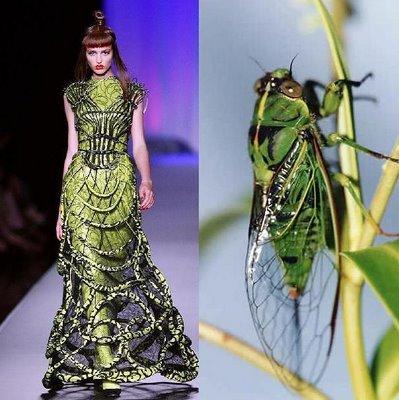His 2008 winter fashion collection was inspired by cicadas. He focused on the cicada exoskeleton and wings which developed into unusual shapes and colours.