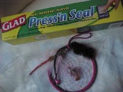 Dreamcatcher sealed in the Press N Seal I hate to sound like a commercial, but I saw some Glad Press N Seal on the TV.