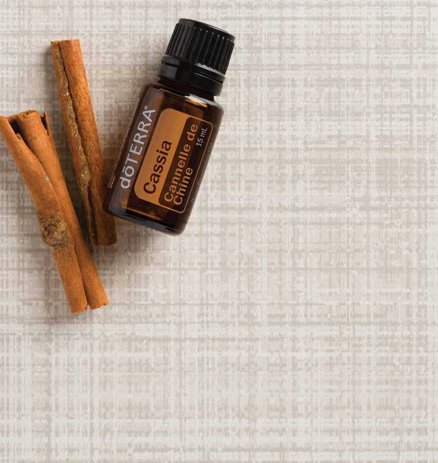 Cedarwood Cedarwood emits a warm and woody aroma that inspires feelings of wellness and vitality, and is often used during massage to relax and soothe.