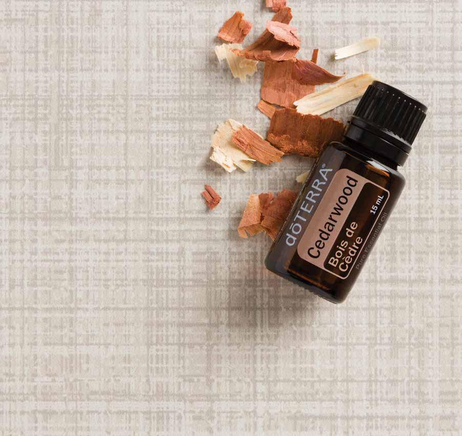 Improve the appearance of skin imperfections by directly applying one drop to area. Cassia Known as a warming oil, Cassia is a close relative of cinnamon.