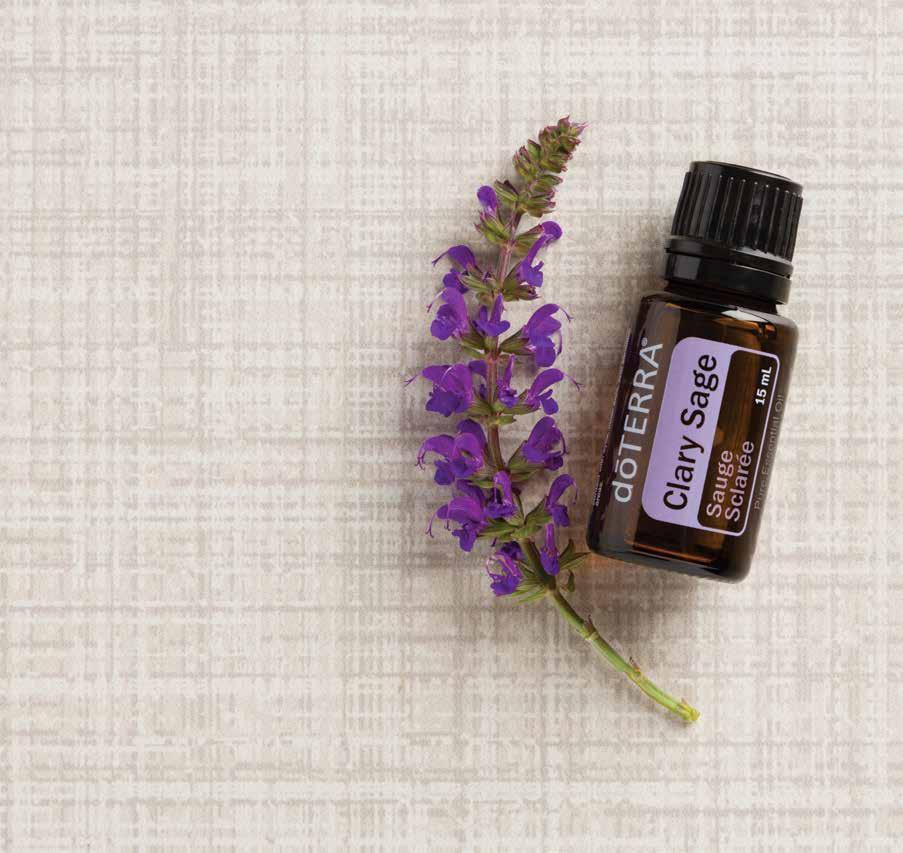 Clary Sage Widely known for its calming abilities, Clary Sage oil is relaxing, soothing, and balancing particularly when used to calm and soothe dry skin.
