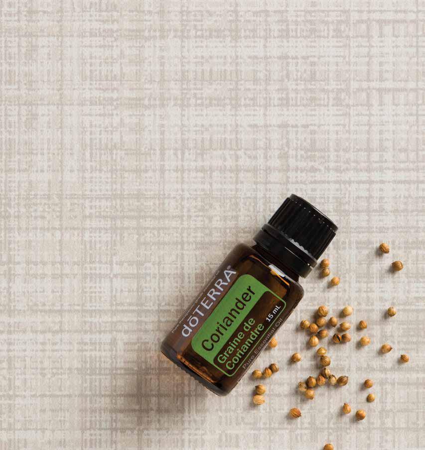 Coriander With a fresh, herbaceous aroma, Coriander can be soothing to the mind and body, and helpful for the skin. Coriander oil is as unique as it is useful.