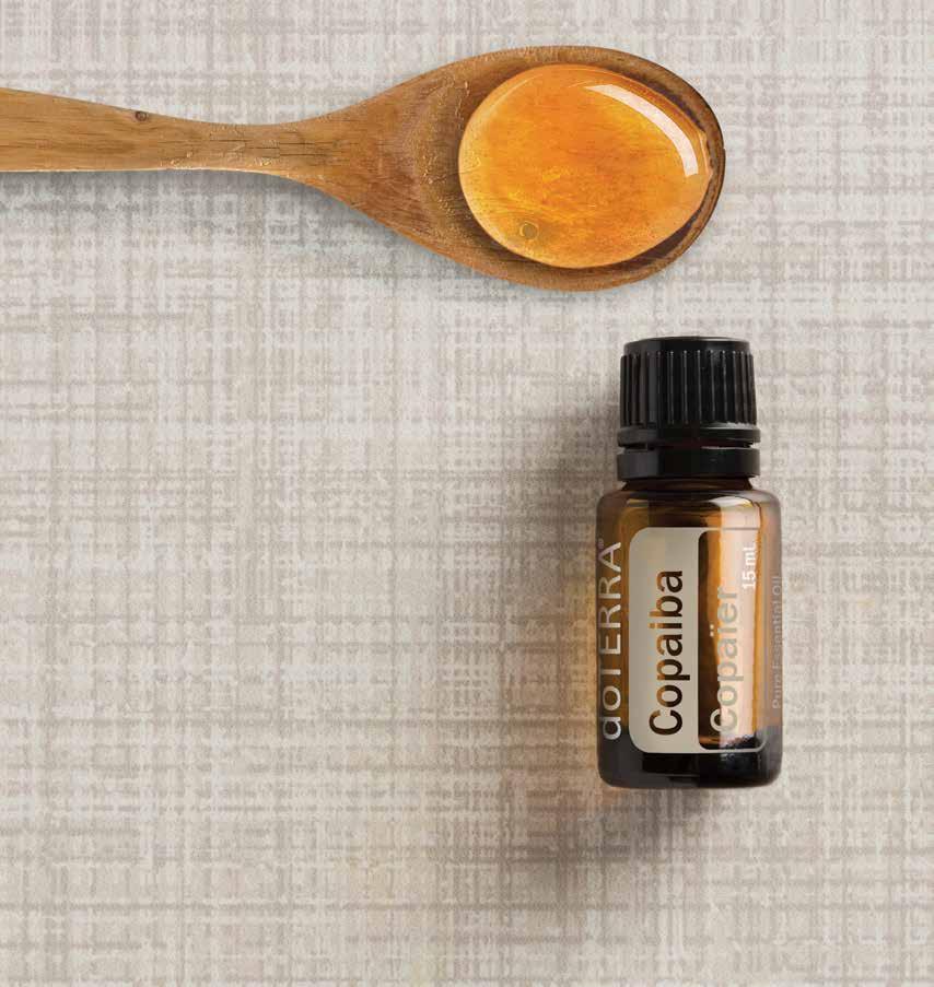 Combine with two ounces of water and gargle. Place one drop in warm bath water for a calming aroma. Add two drops Copaiba and Epsom salt to a warm foot bath.