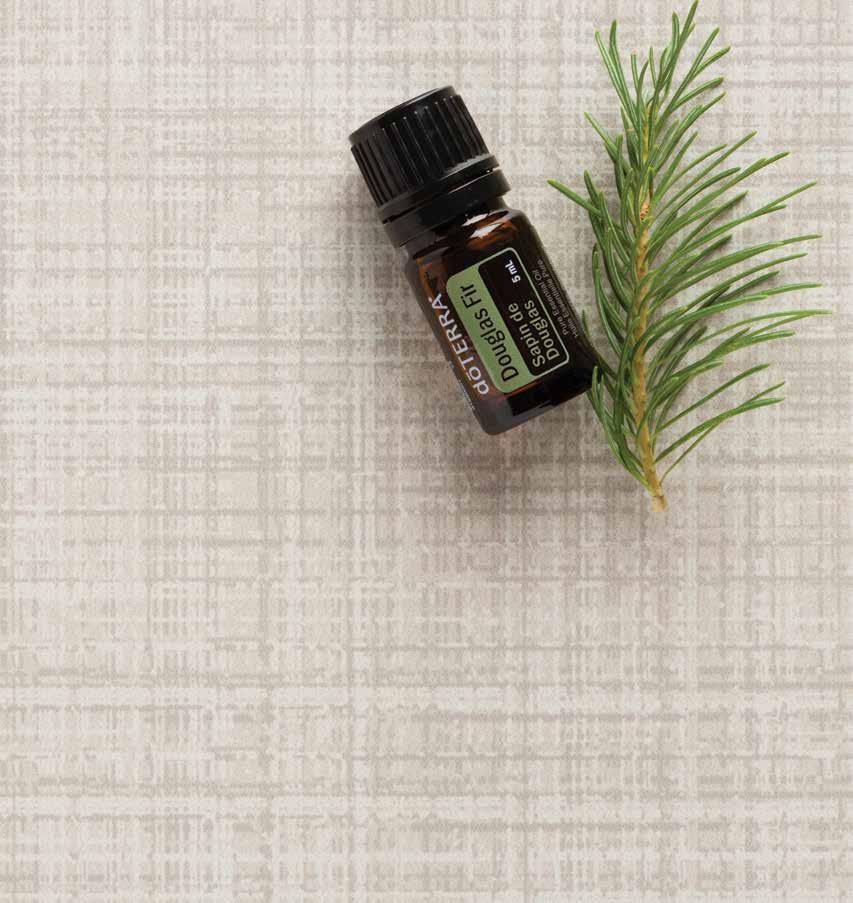 Essential Oil Singles Apply Cypress to soothe dryness and clean skin. Prior to a long run, apply to feet and legs for an energizing boost.