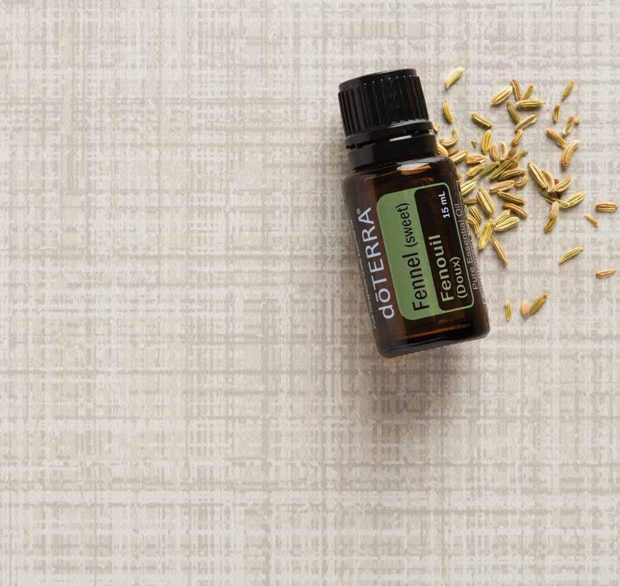 Apply one to two drops topically to stomach for a soothing abdominal massage. Combine one drop with one drop Lavender and apply to neck and chest to promote relaxation.