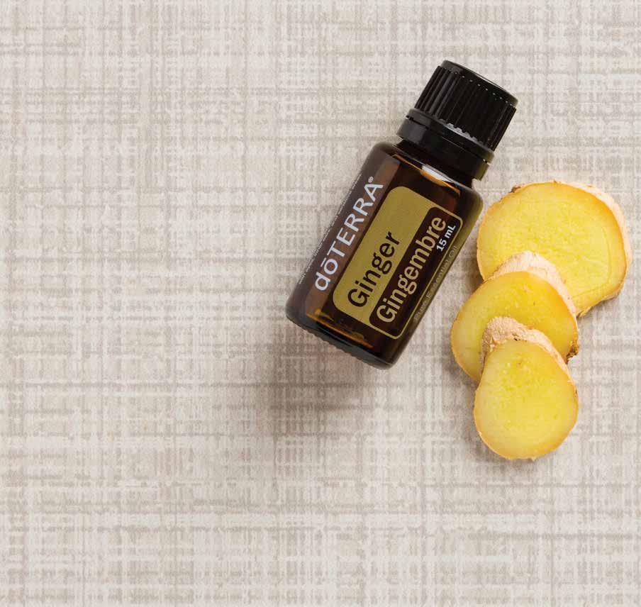Ginger dōterra Ginger essential oil comes from the fresh rhizome of the ginger plant. When used as a kitchen spice, the earthy nature of Ginger adds flavor to a variety of dishes.