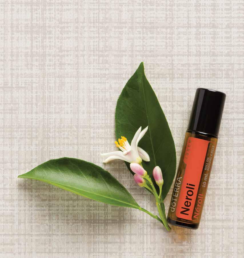 Neroli Touch Neroli essential oil is derived from the flowers of the bitter orange tree.