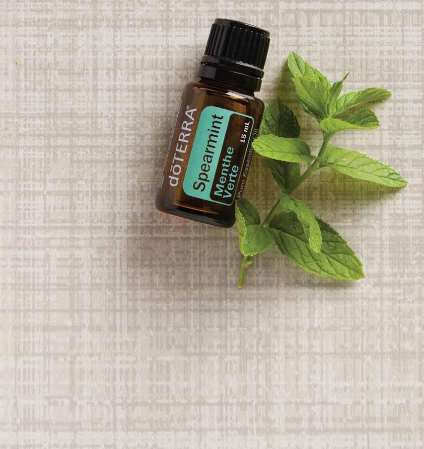 benefits. Spearmint is a milder alternative to other mint essential oils. Use topically on abdomen for an invigorating massage. Add Spikenard to a warm footbath to promote relaxation.