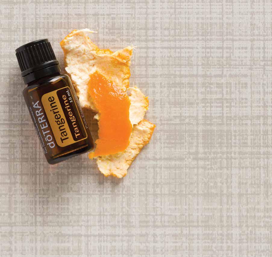 Tangerine has a sweet, tangy aroma, similar to other citrus oils, that is uplifting and is known for its cleansing properties. Apply to flex points or abdomen for a delightful massage.