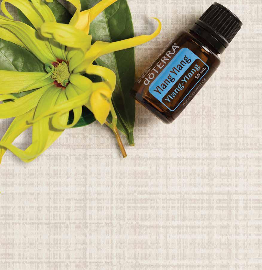 Ylang Ylang A sweet, floral essential oil, Ylang Ylang uses nourishing properties to benefit skin and hair, while providing a soothing aroma. Use in conjunction with an aromatherapy steam facial.