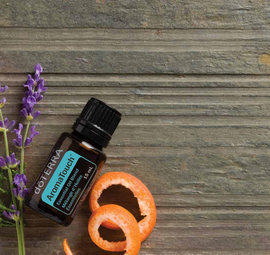 Balance Essential Oil Blend The Balance blend is a subtle combination of essential oils that promotes harmony, tranquility, and a sense of relaxation through its grounding, peaceful fragrance.