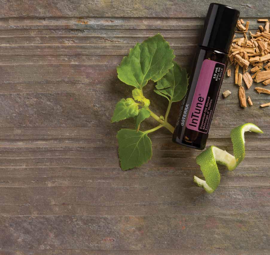 InTune Essential Oil Blend The perfect blend for moments of study or concentration, InTune is comprised of essential oils that promote a sense of calm and clarity.