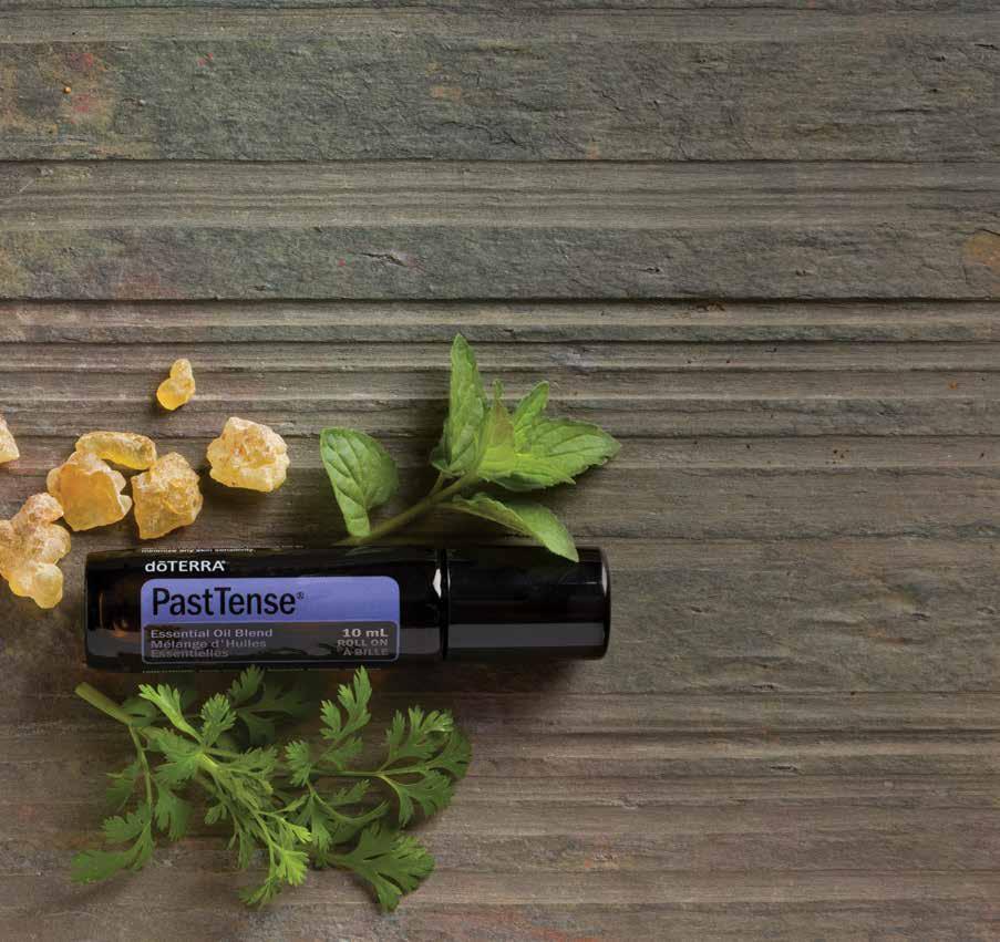 dōterra Passion Essential Oil Blend When feelings of boredom and disinterest take over, the dōterra Passion will help you with its spice and herb aroma.