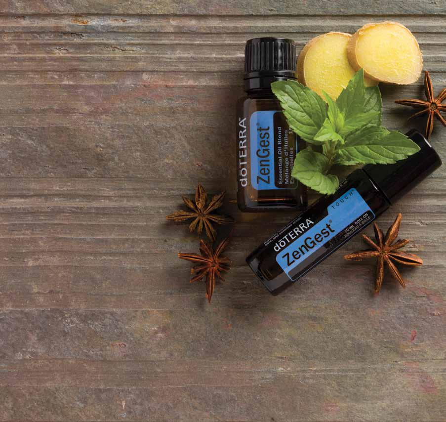 ZenGest Essential Oil Blend This unique blend combines the calming properties of Ginger, Fennel, Coriander, Peppermint, Tarragon, Anise, and Caraway.