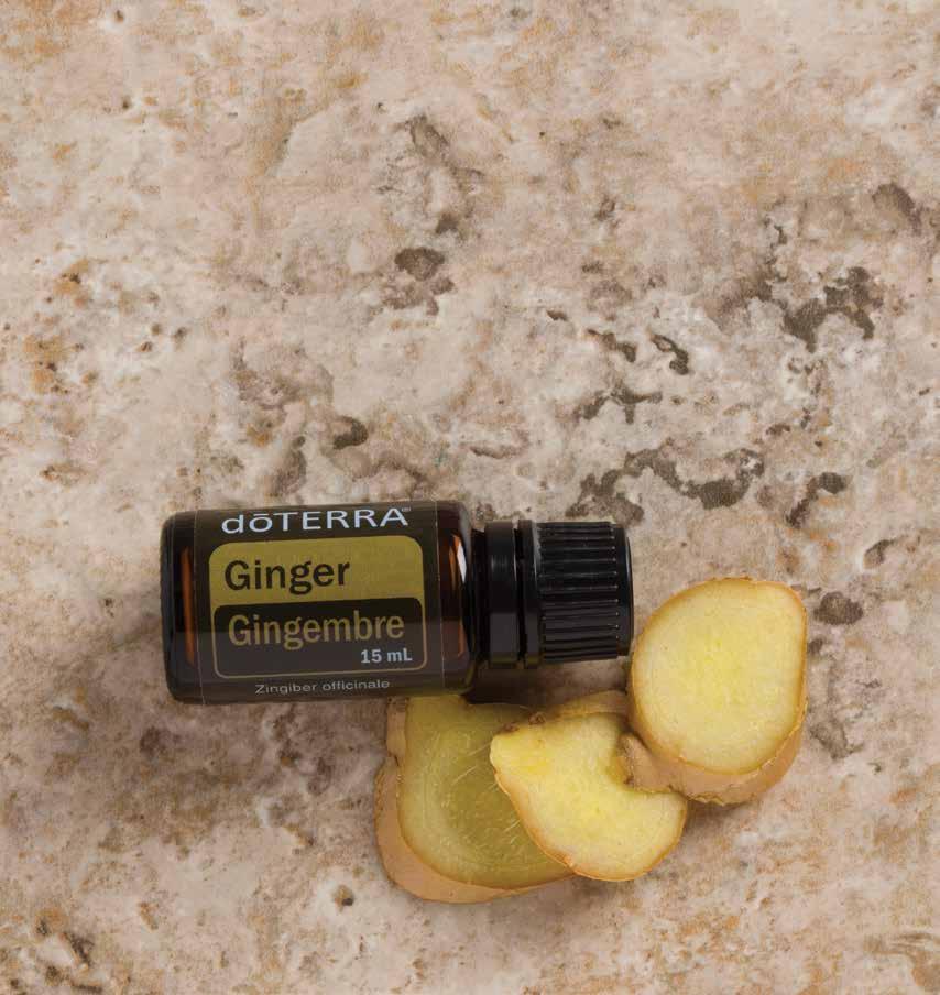 carminative or antispasmodic for symptomatic relief of digestive discomfort Used in aromatherapy to help relieve colds and cough Grapefruit NPN 80060966 The name grapefruit is attributed to the fruit