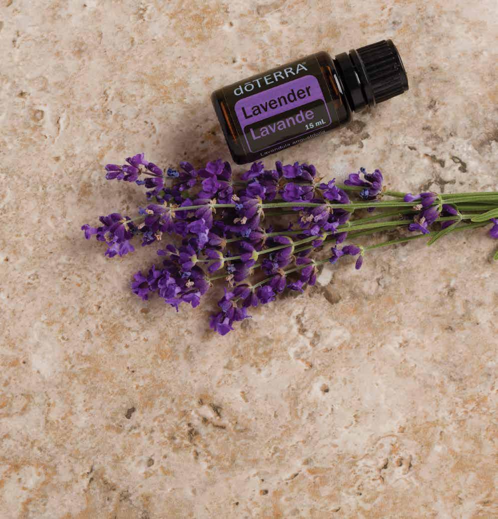 Natural Health Products Lavender NPN 80061038 Lavender is often considered a must-have oil to keep on hand at all times due to its versatile uses, including calming properties.
