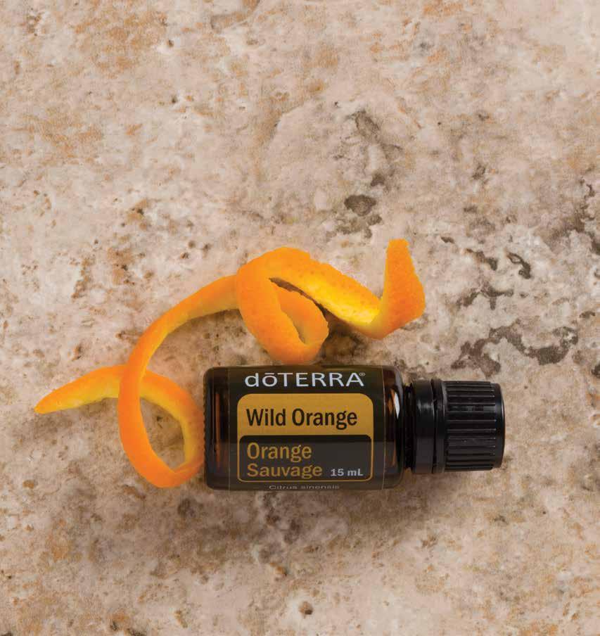 Wild Orange NPN 80060970 Cold pressed from the peel, Wild Orange is one of dōterra s top selling essential oils due to its calming aroma and health benefits.
