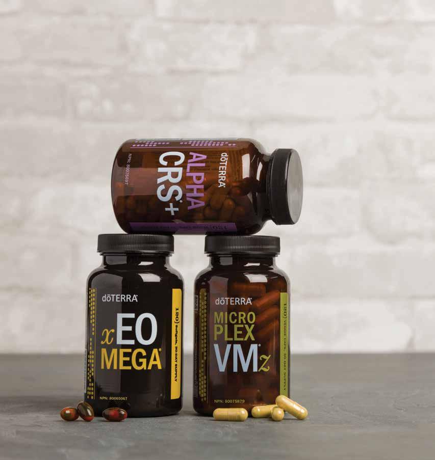 With essential nutrients, metabolism benefits, and powerful antioxidants, these supplements provide several benefits.