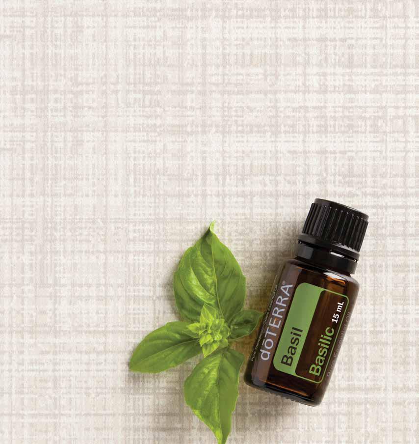 Basil A truly versatile oil, Basil is known for its soothing aroma and for providing a cooling sensation to the skin.