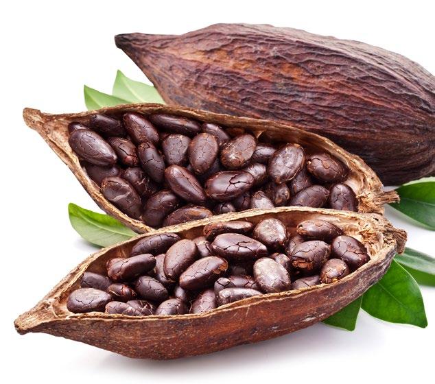 bronzing treatment, supercharged with antioxidants to restore skin hydration. Why Cacao?