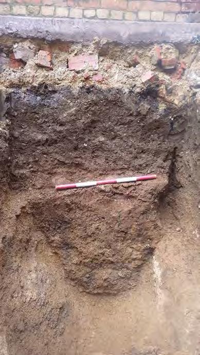 17 Plate 3: Profile of Ditch 305 in Trench 3,