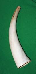 ox horn Horn, Bone and