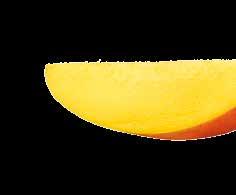 mango and lemon with