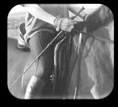 center or to the outside of the rider s foot on each side, and should be trimmed to fit neatly, without loose ends flapping about.
