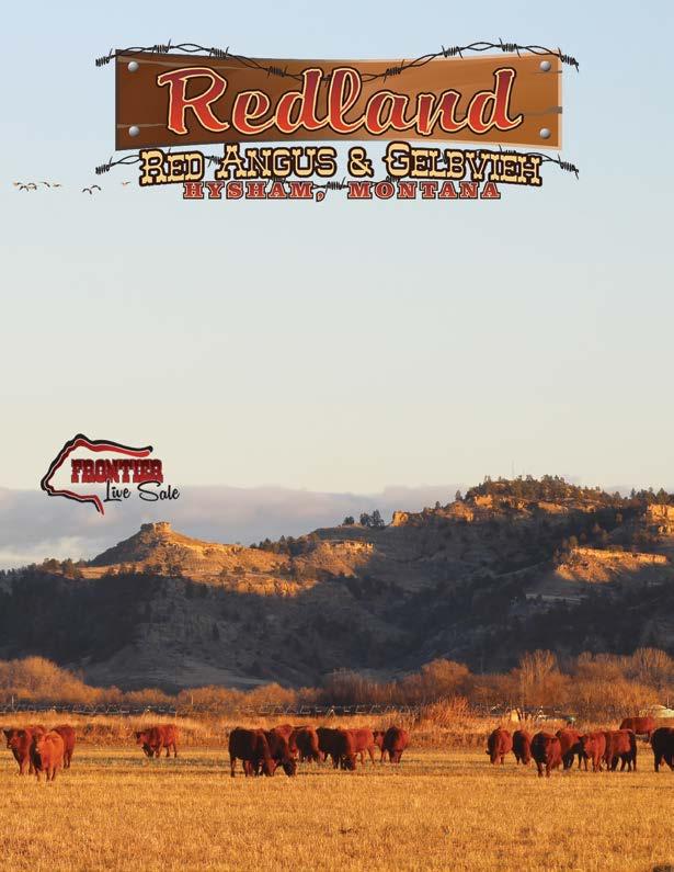 Red Angus Bulls Saturday March 3, 2018 1:00 PM Lunch at 12:00 Noon Selling: 80 Red Angus