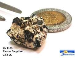 Sapphire TM has unique qualities and significant potential as gemstones.