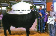 Worth Countty Fair Congratulations to Paige & Payton Pangburn, IA JS Unbridled 49U Grand Champion Breeding Heifer