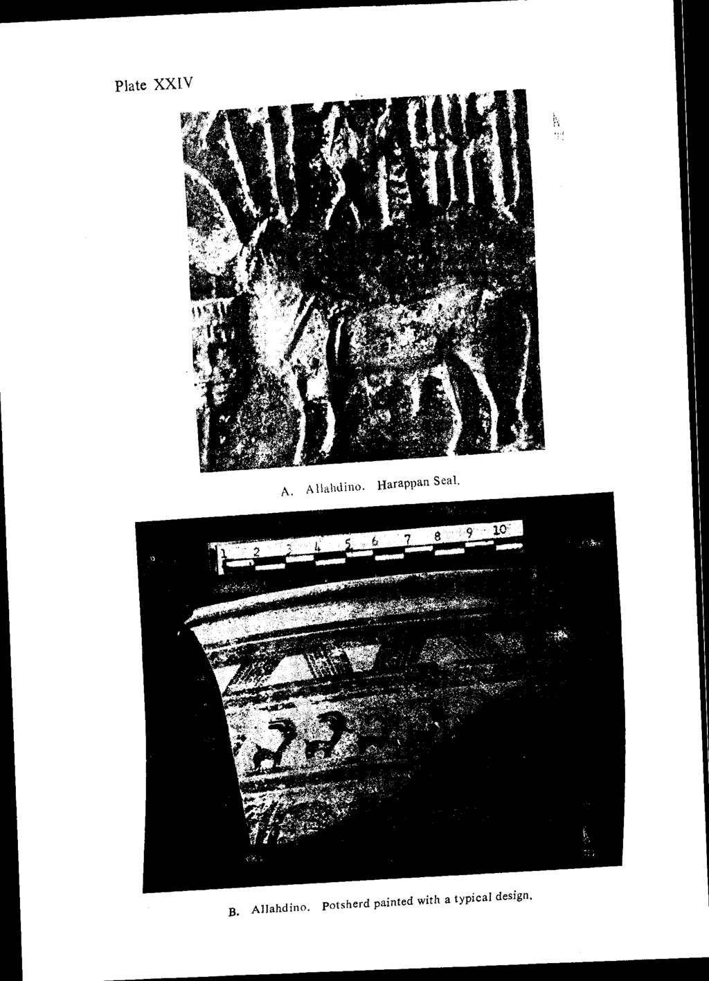 Plate XXlV A. A llahuino. Harappan Seal. B.
