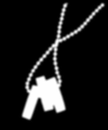 95 Brand CTR Necklace pendant is approx.