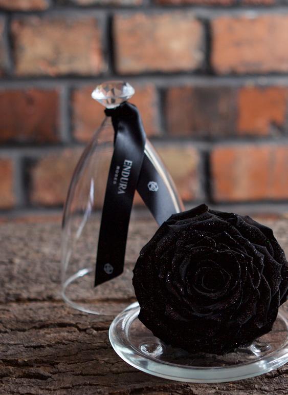 DIAMONDS ARE A GIRLS BEST FRIEND EXPERIENCE THE SPARKLE Exclusive from Endura Roses comes this dazzling creation, a rose to capture the imagination forever.