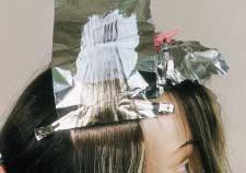 The strands are to be processed to the same degree as the three month outgrowth.