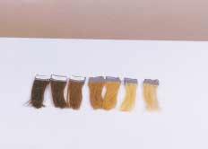 33 Lighten the hair to the following stages: Medium golden brown, light golden brown, gold, pale