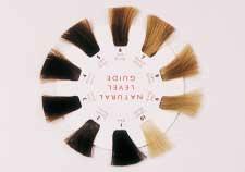 5 Although the level system has been an accepted method for identifying natural haircolor, the CATEGORY SYSTEM