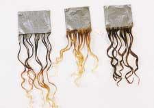 The swatch on the right has been treated with deposit only haircolor. The hair is wrapped in the same manner.