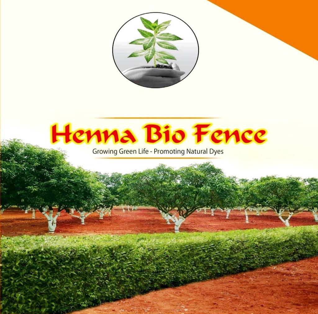 Henna Bio Fence / Live Hedge