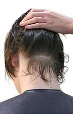 There are four areas to look at: Front Sides Nape Crown Step 4 of 30 - Hairline, nape As part of your client consultation, and before you start your haircut, it is also important to check your