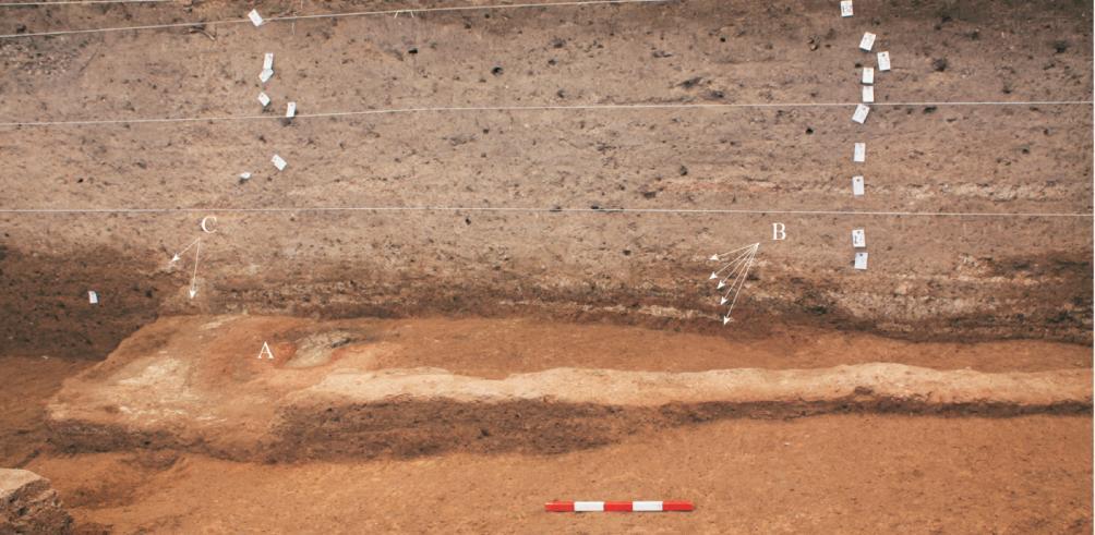 In the northwestern quadrant, a mutilated clay floor lies adjacent to a clay wall foundation, suggesting that there was a residential comlex in this art of the site.